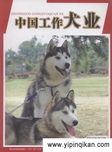 杂志封面