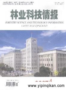 杂志封面