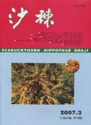沙棘杂志