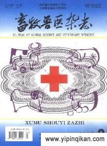 杂志封面
