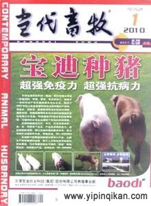 杂志封面