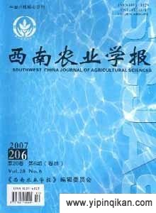 杂志封面