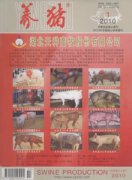 养猪杂志