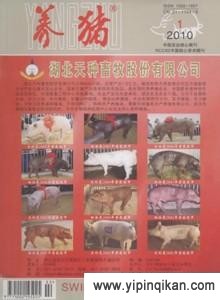 杂志封面