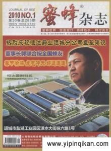 杂志封面