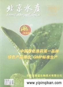 杂志封面