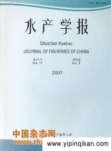 杂志封面