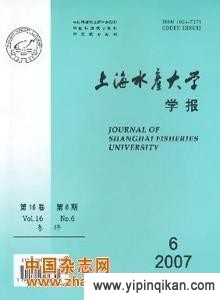杂志封面