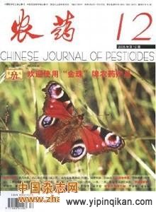 杂志封面