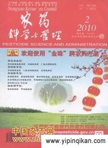 杂志封面