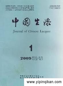 杂志封面