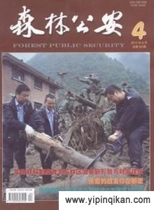 杂志封面