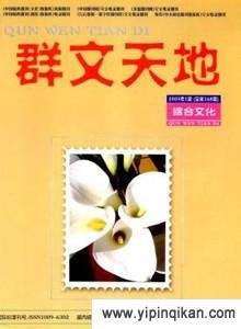 杂志封面